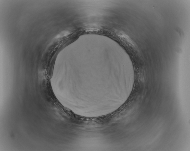 X0000112031445200909141046