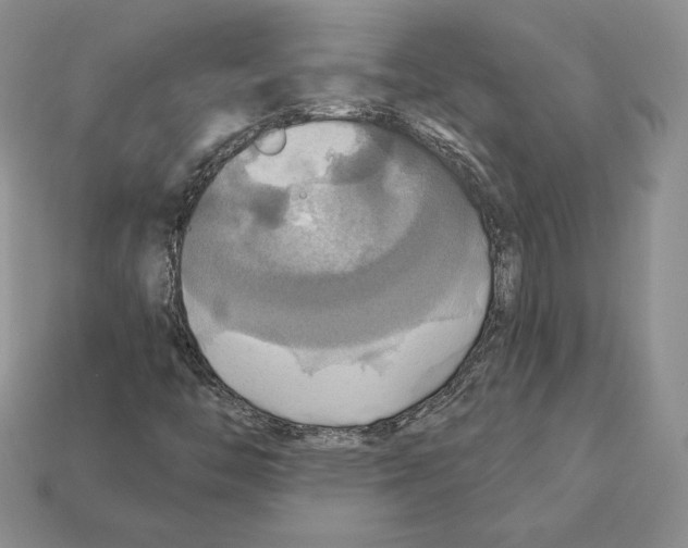 X0000112031446200909141046