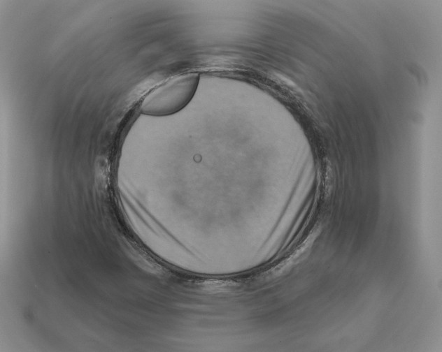 X0000112031449200909141046