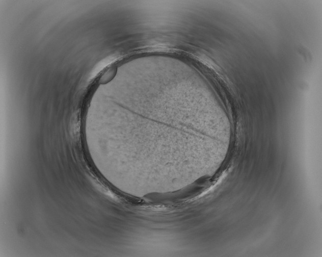X0000112031450200909141046