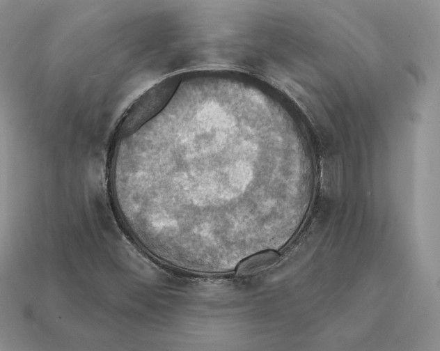 X0000112031452200909141046