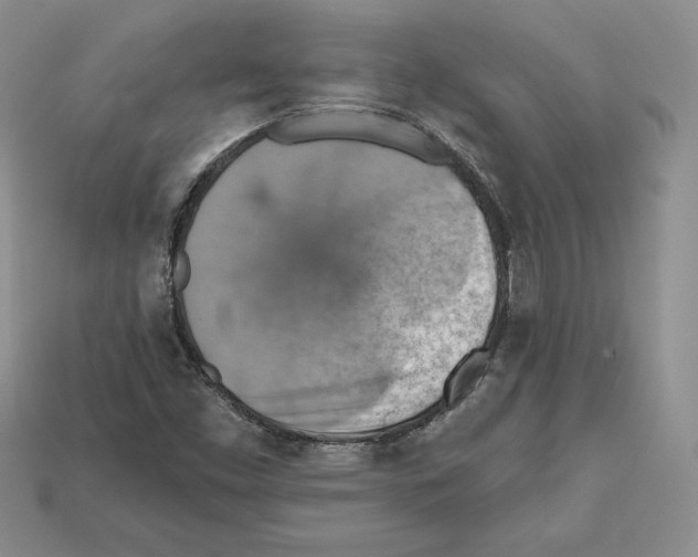 X0000112031453200909141046