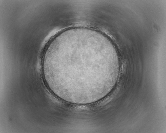 X0000112031454200909141046
