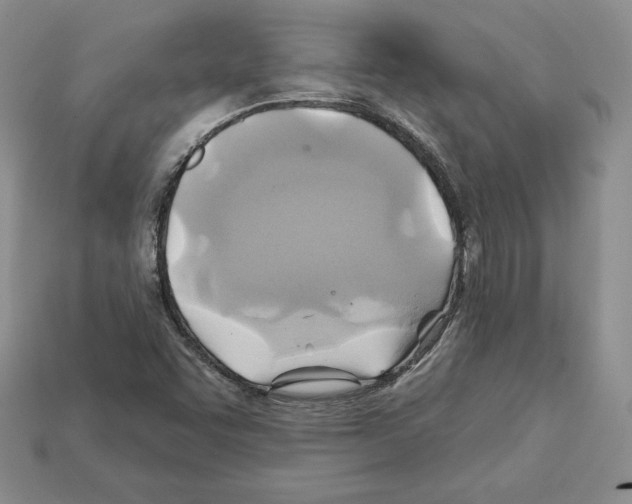 X0000112031455200909141046