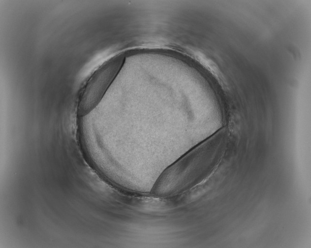X0000112031456200909141046