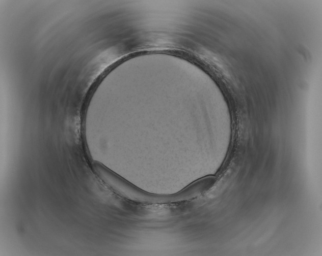 X0000112031457200909141046