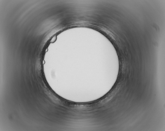 X0000112031458200909141046