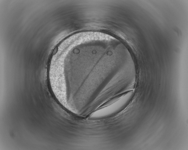 X0000112031459200909141046