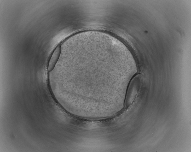 X0000112031461200909141046