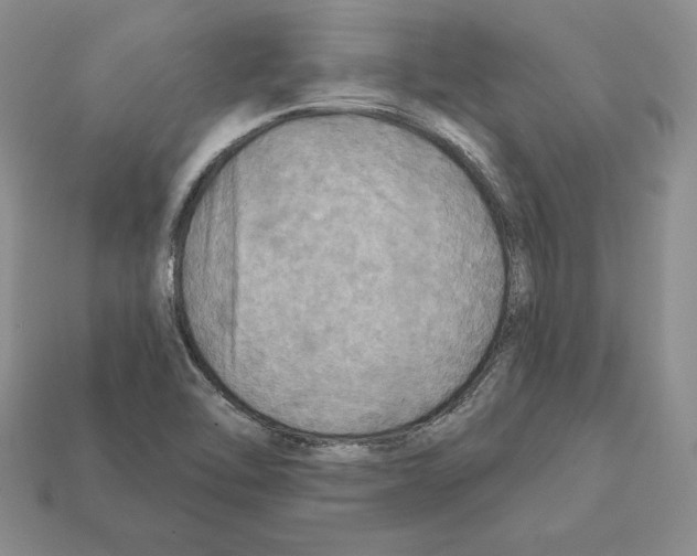 X0000112031462200909141046