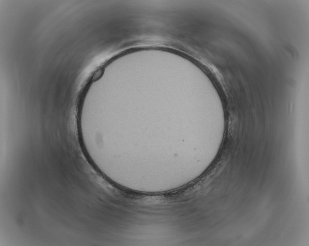 X0000112031464200909141046