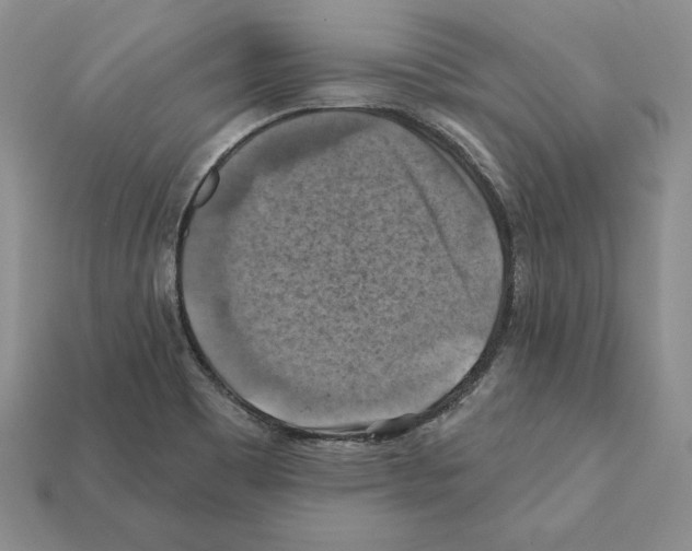 X0000112031465200909141046