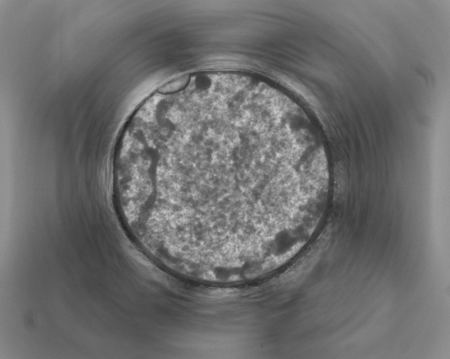 X0000112031467200909141046