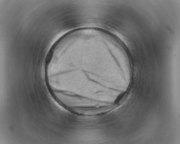X0000112031468200909141046