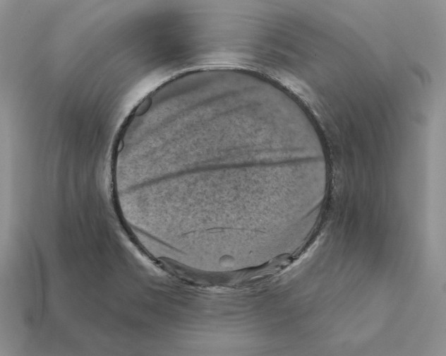 X0000112031469200909141046