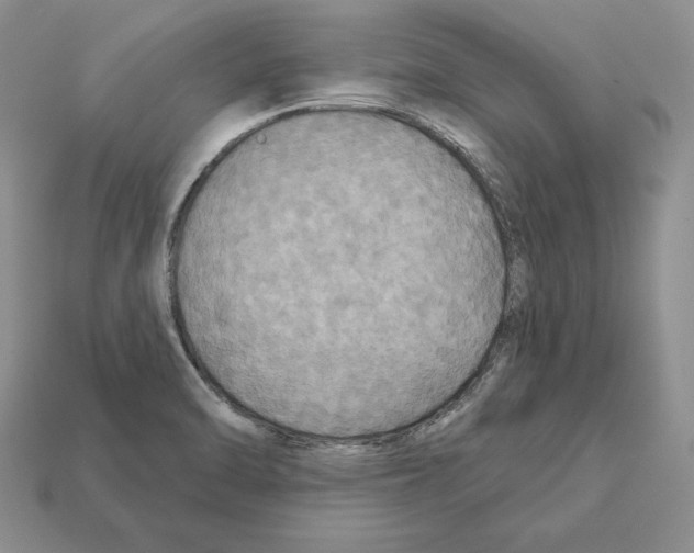 X0000112031470200909141046