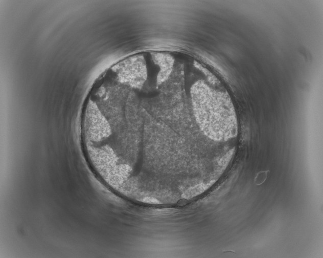 X0000112031471200909141046