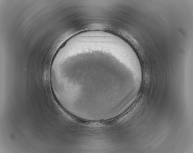 X0000112031473200909141046