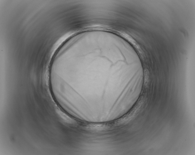 X0000112031474200909141046