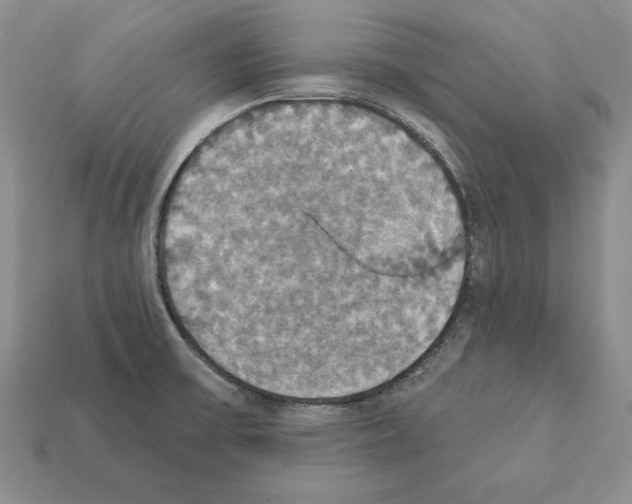 X0000112031475200909141046
