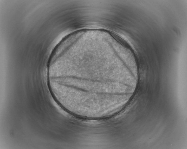 X0000112031476200909141046