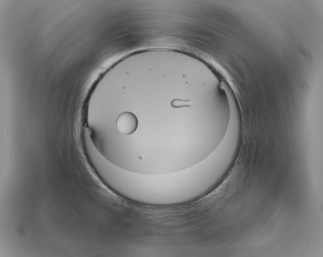 X0000112031477200909141046