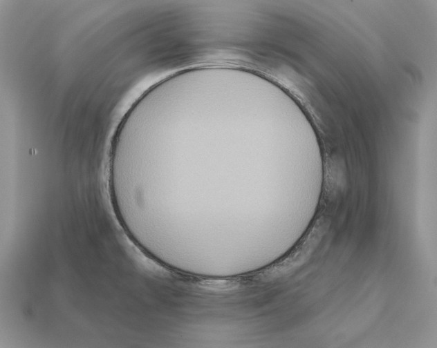 X0000112031478200909141046