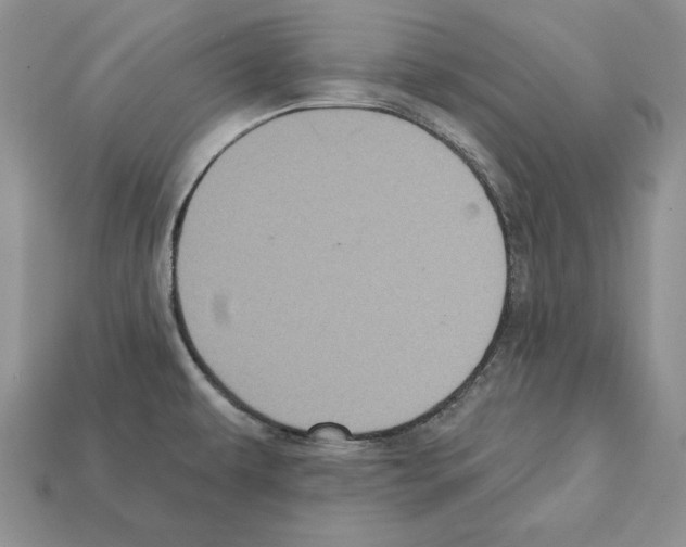 X0000112031479200909141046