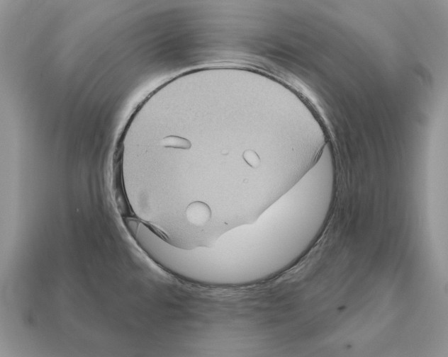X0000112031480200909141046