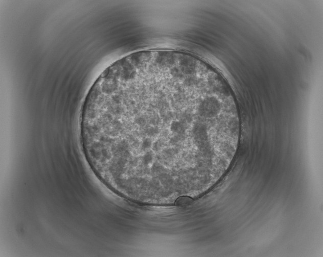 X0000112031483200909141046