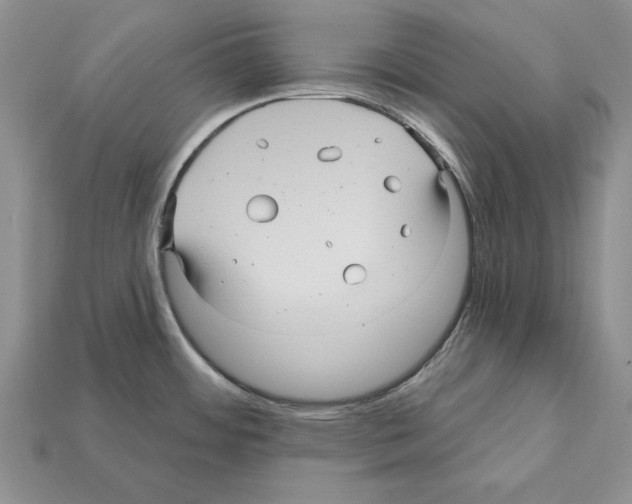 X0000112031484200909141046