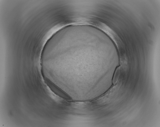 X0000112031485200909141046