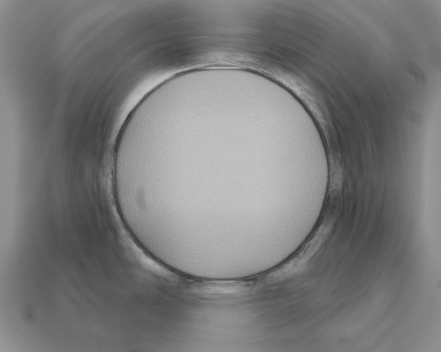 X0000112031486200909141046