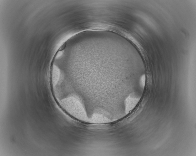 X0000112031487200909141046