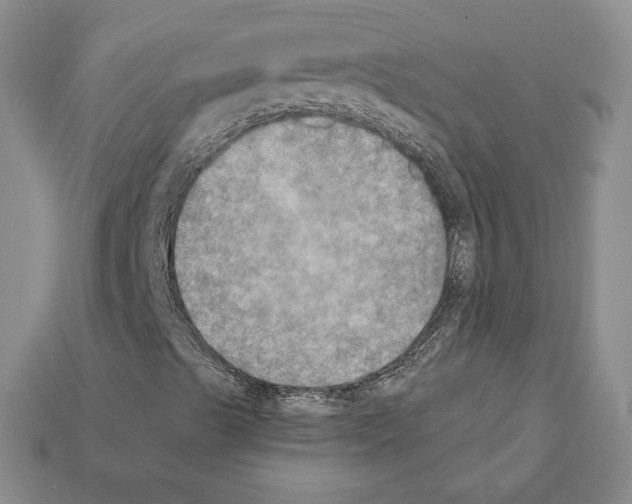 X0000112031489200909141045