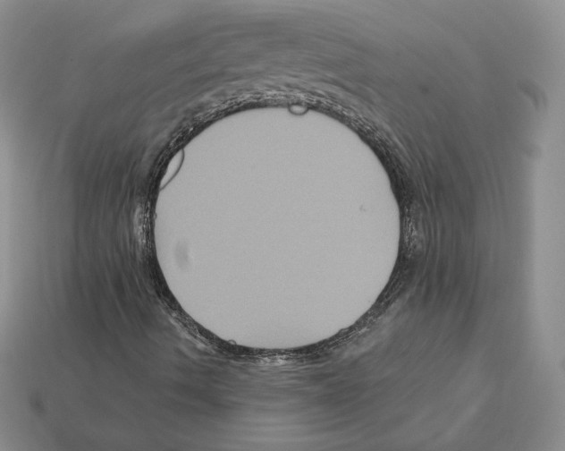 X0000112031490200909141045