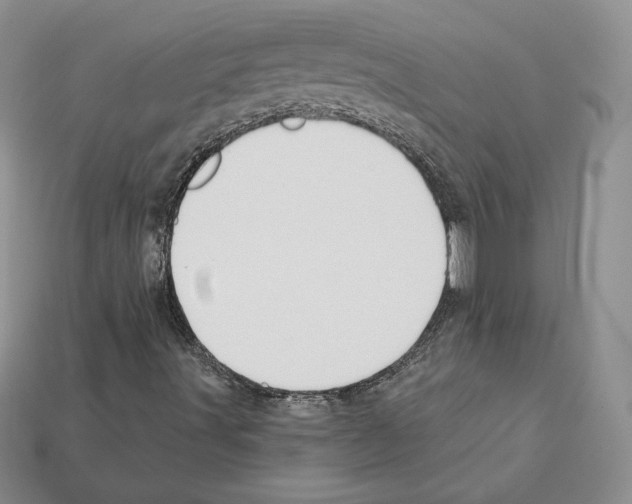 X0000112031491200909141045