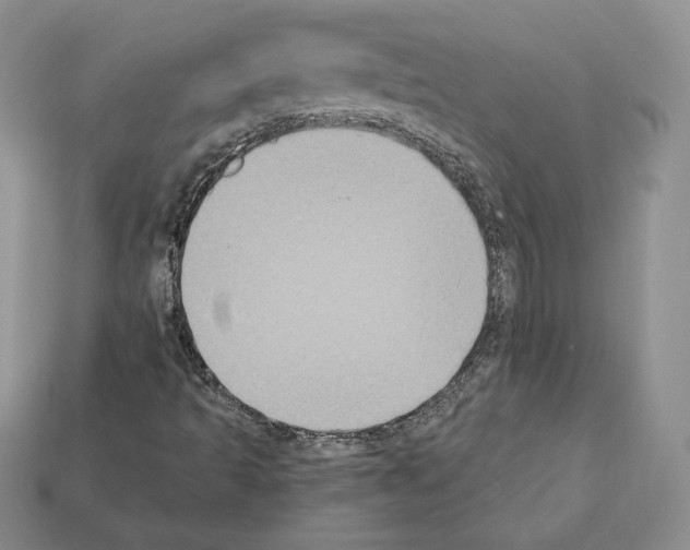 X0000112031493200909141045
