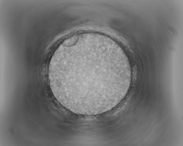 X0000112031494200909141045
