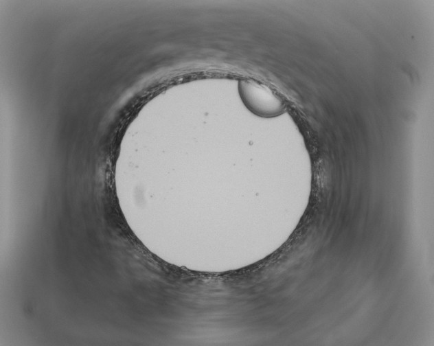 X0000112031495200909141045