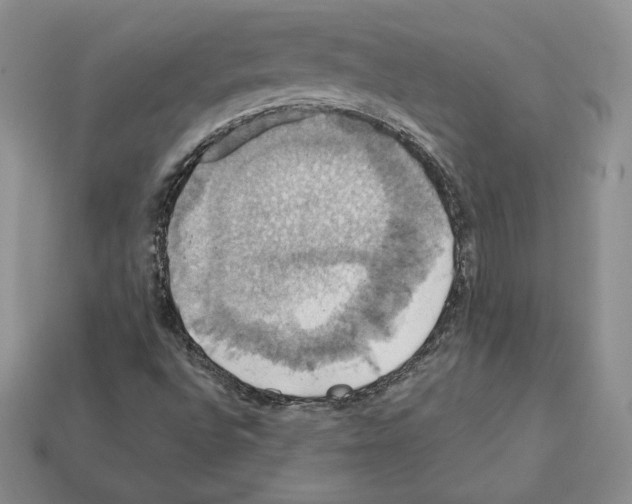 X0000112031496200909141045