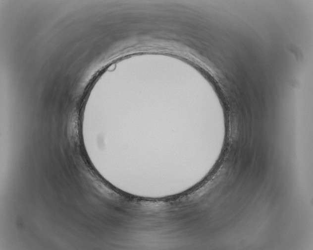 X0000112031498200909141045