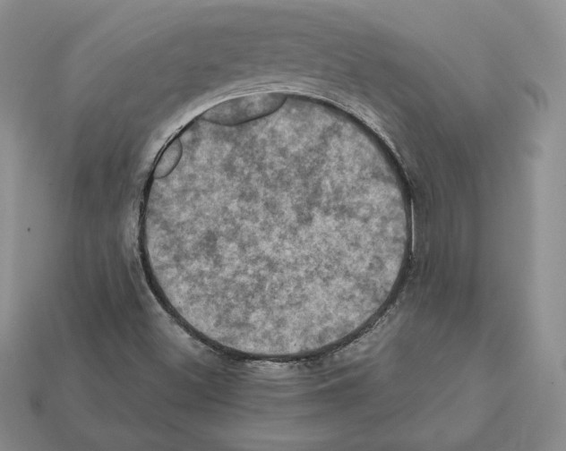 X0000112031500200909141045