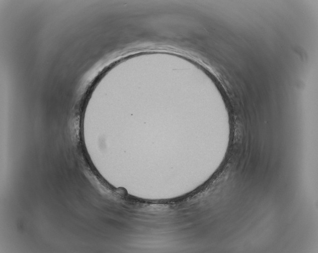 X0000112031503200909141045