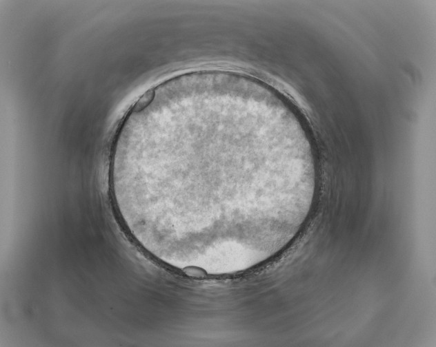 X0000112031504200909141046