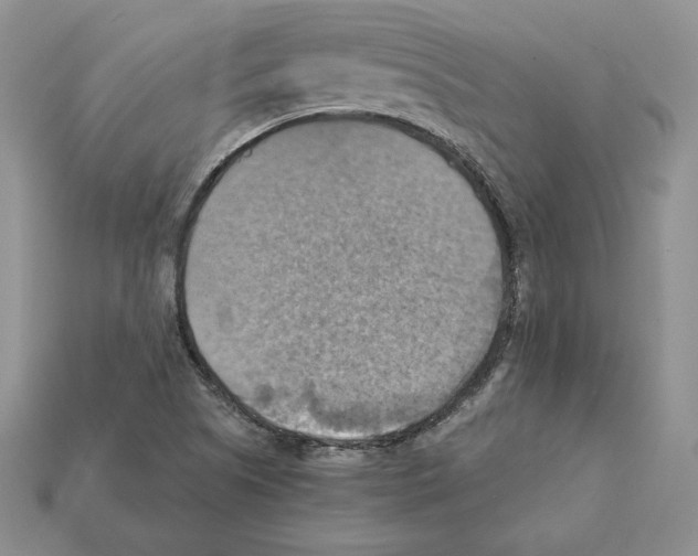 X0000112031505200909141046
