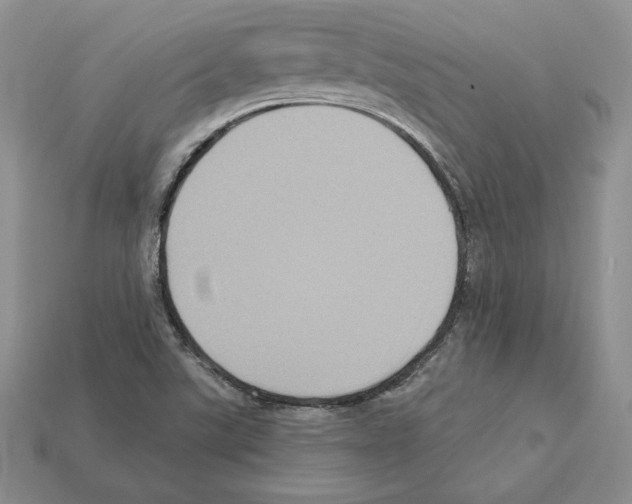 X0000112031507200909141046