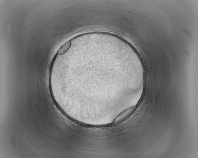 X0000112031508200909141046