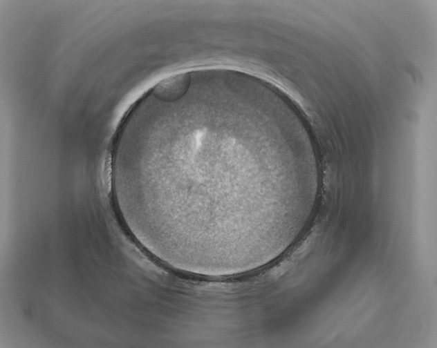 X0000112031510200909141046