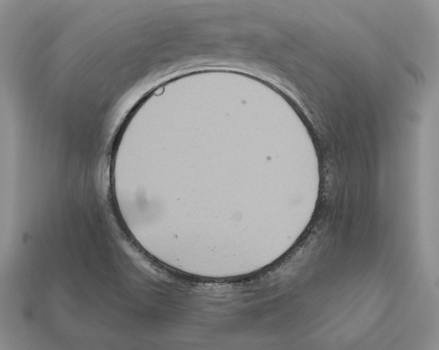 X0000112031511200909141046